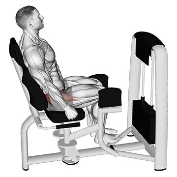 hip abductor machine