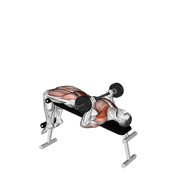 barbell press sit up