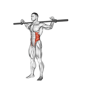 barbell side bent v2