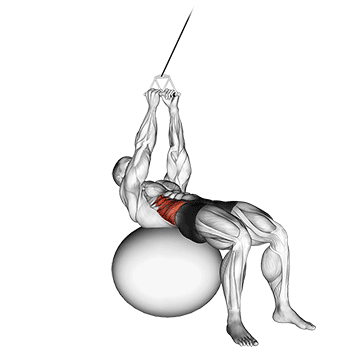 cable russian twists on stability ball