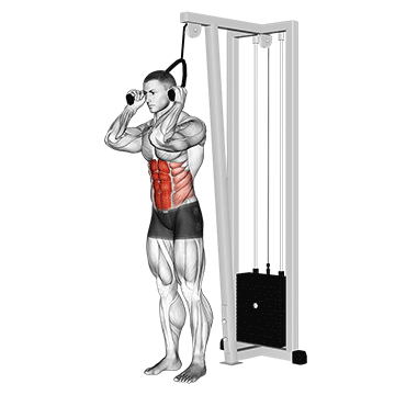 cable standing crunch with rope attachment
