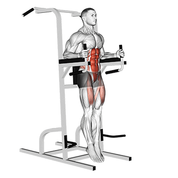 standing leg raise