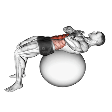 crunch on stability ball