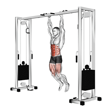 hanging straight leg hip raise