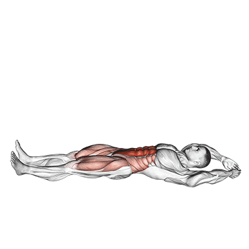jackknife sit up