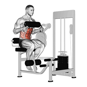 lever seated crunch chest pad