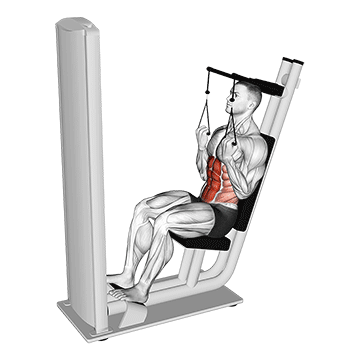 lever seated crunch v2