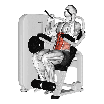 abs crunch machine