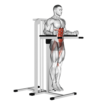 vertical leg raise on parallel bars