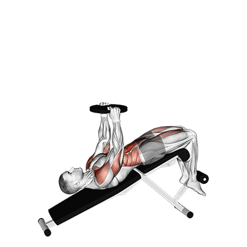 weighted decline sit up