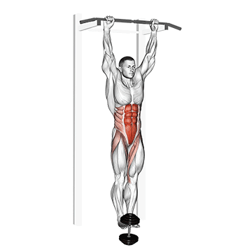 weighted hanging leg hip raise