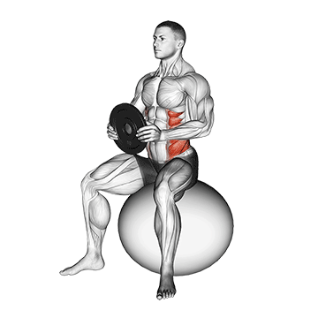 weighted seated twist on stability ball