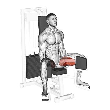 hip adductor machine