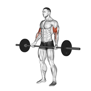 barbell standing wide grip curl