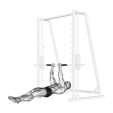 biceps narrow pull ups