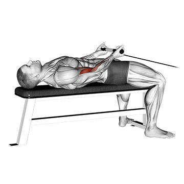 cable lying bicep curl