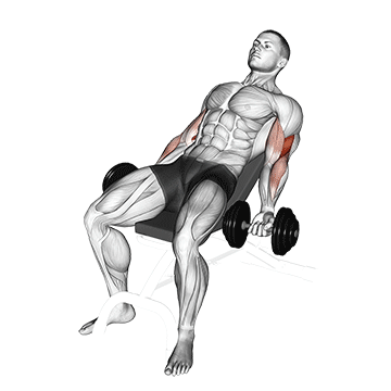 dumbbell incline curl v2