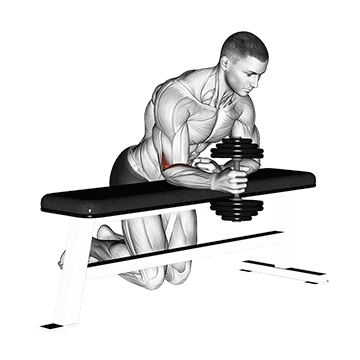 dumbbell over bench one arm neutral wrist curl