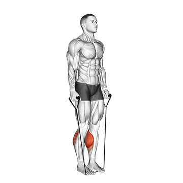 band two legs calf raise band under both legs v2