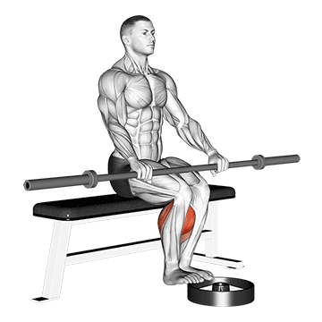barbell seated calf raise 1371