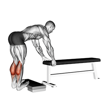 donkey calf raise
