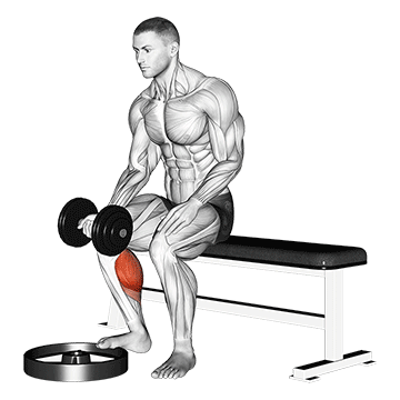 dumbbell seated one leg calf raise palm up
