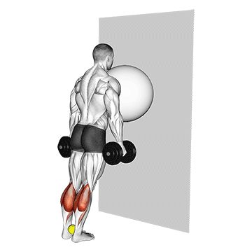 exercise ball on the wall calf raise tennis ball between ankles