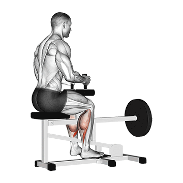 calf raise machine
