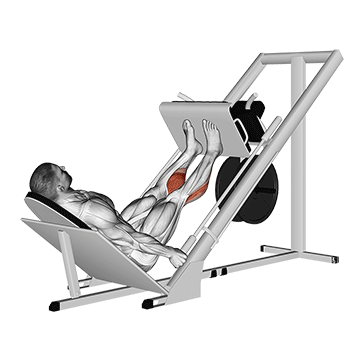 sled 45 calf press