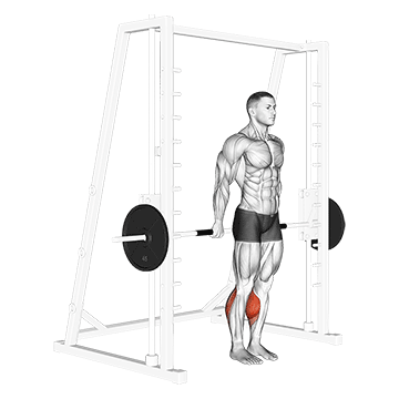 smith reverse calf raises 1394