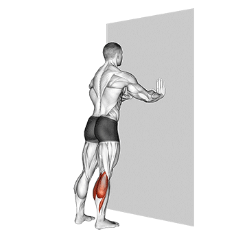 standing calves
