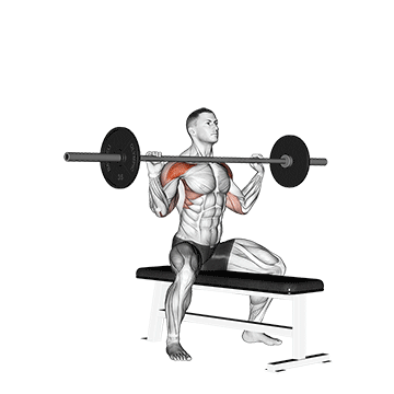 barbell overhead press