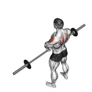 barbell upright row v2