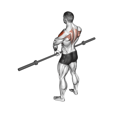 barbell upright row v3