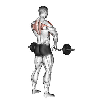 upright row