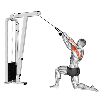 cable kneeling rear delt row with rope male
