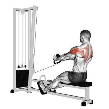 cable rear delt row stirrups