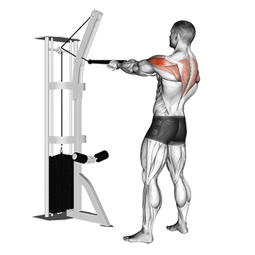 cable standing rear delt row with rope