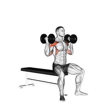dumbbell arnold press v2