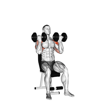 arnold press