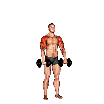 dumbbell cuban press v2