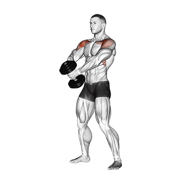 dumbbell front raise v2
