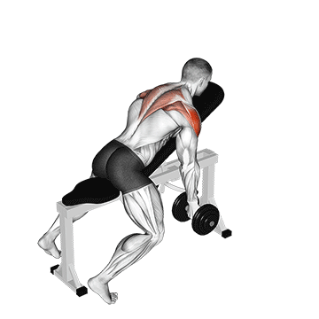 dumbbell incline t raise