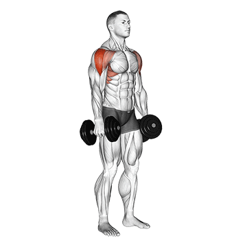lateral raise