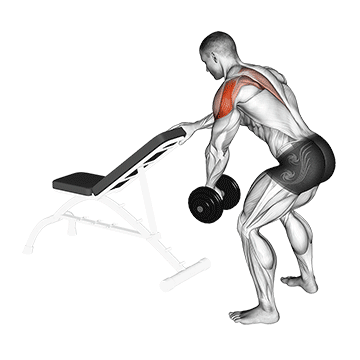 dumbbell one arm reverse fly with support
