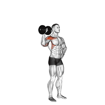 dumbbell one arm shoulder press v2