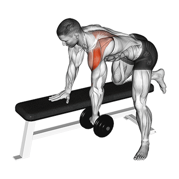 dumbbell rear delt row shoulder
