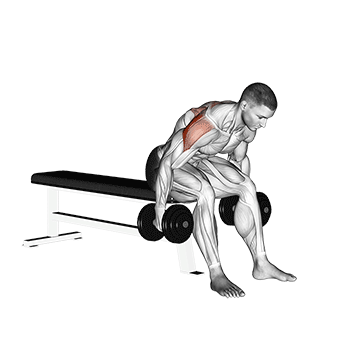 rear delt fly