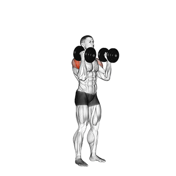 dumbbell w press
