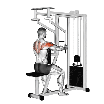 lever seated reverse fly parallel grip